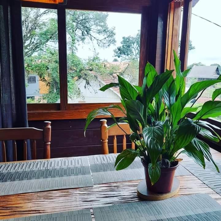 Отель Refugio Jardim Mariana Канела Экстерьер фото